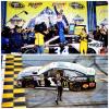 yellowcat53's picture